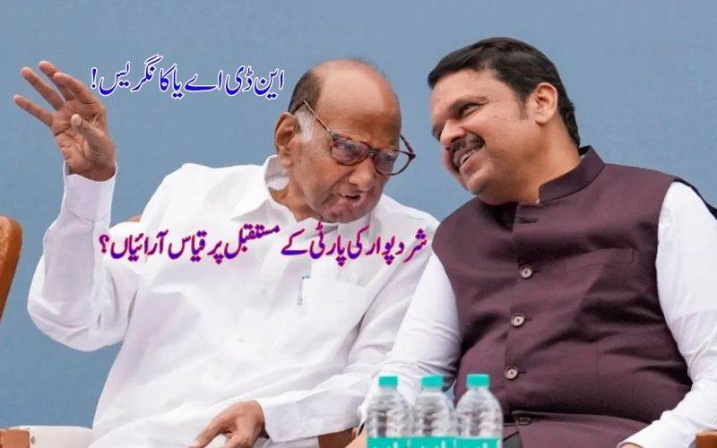 شرد پوار کی این سی پی کے مستقبل پر قیاس آرائیاں۔ این ڈی اے میں شمولیت کا امکان؟
